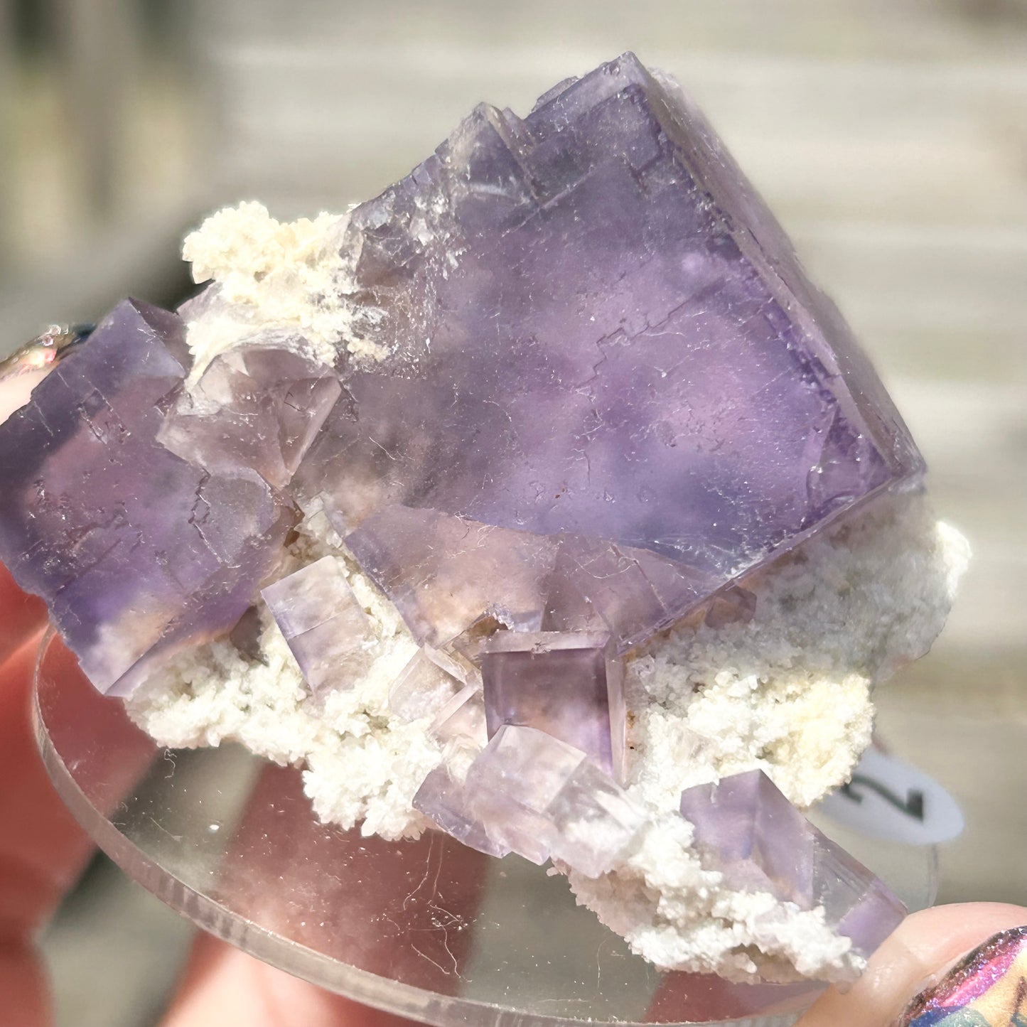 Blue-Purple Step Fluorite Large from Berbes Quarry, Berbes Mining Area, Ribadesella, Asturias, Spain 🇪🇸 (Closed Quarry - Mined in 1980s) #2 High Quality