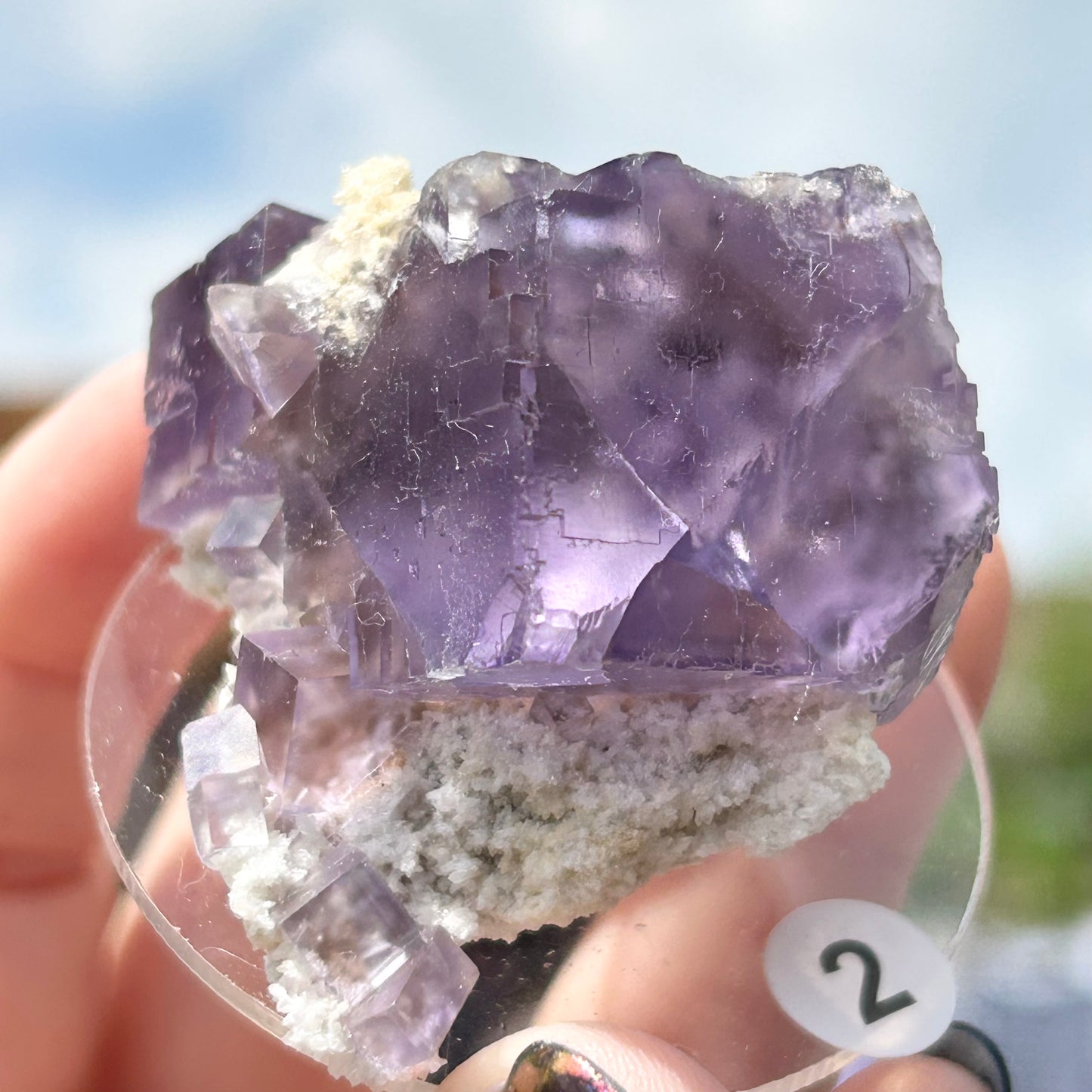 Blue-Purple Step Fluorite Large from Berbes Quarry, Berbes Mining Area, Ribadesella, Asturias, Spain 🇪🇸 (Closed Quarry - Mined in 1980s) #2 High Quality