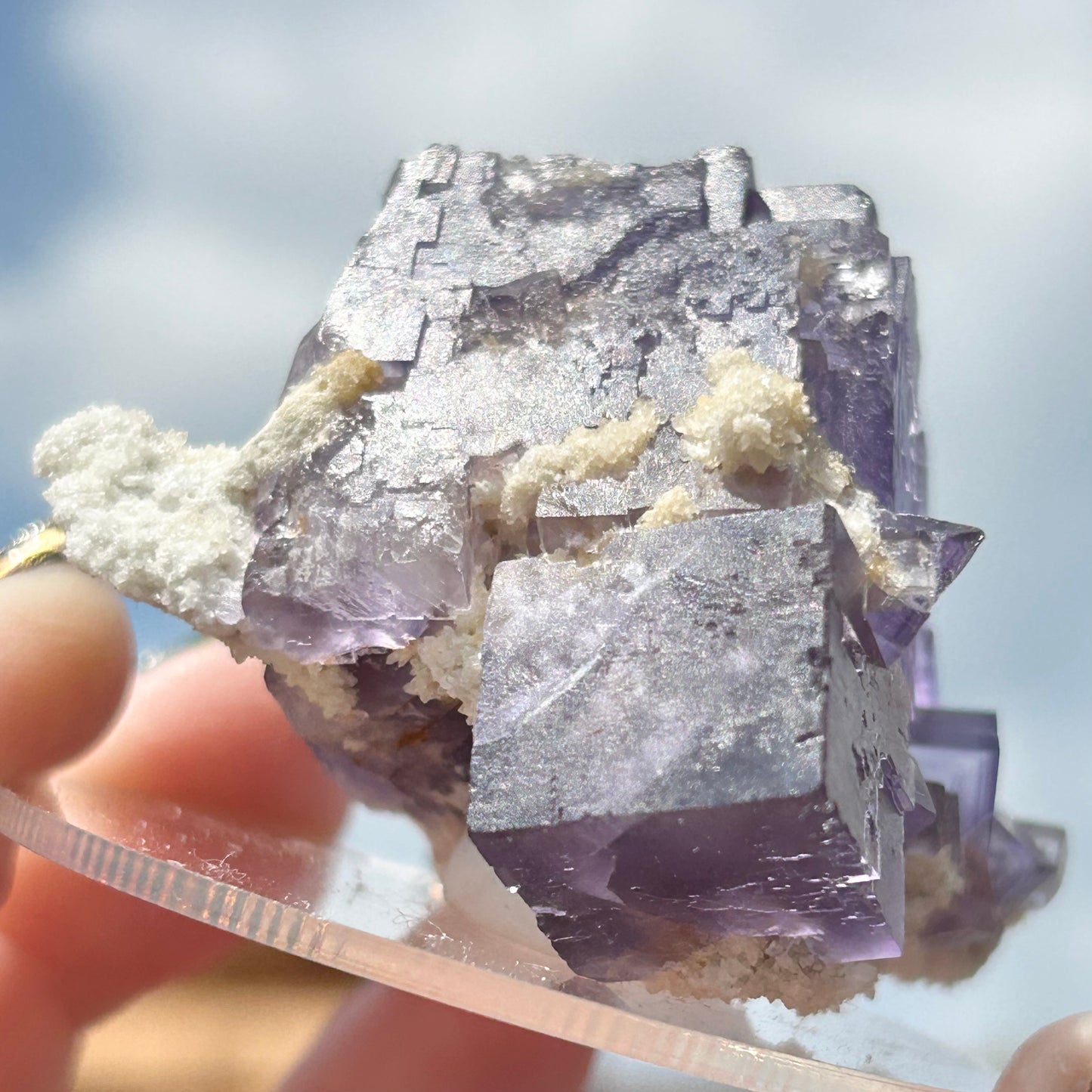 Blue-Purple Step Fluorite Large from Berbes Quarry, Berbes Mining Area, Ribadesella, Asturias, Spain 🇪🇸 (Closed Quarry - Mined in 1980s) #2 High Quality