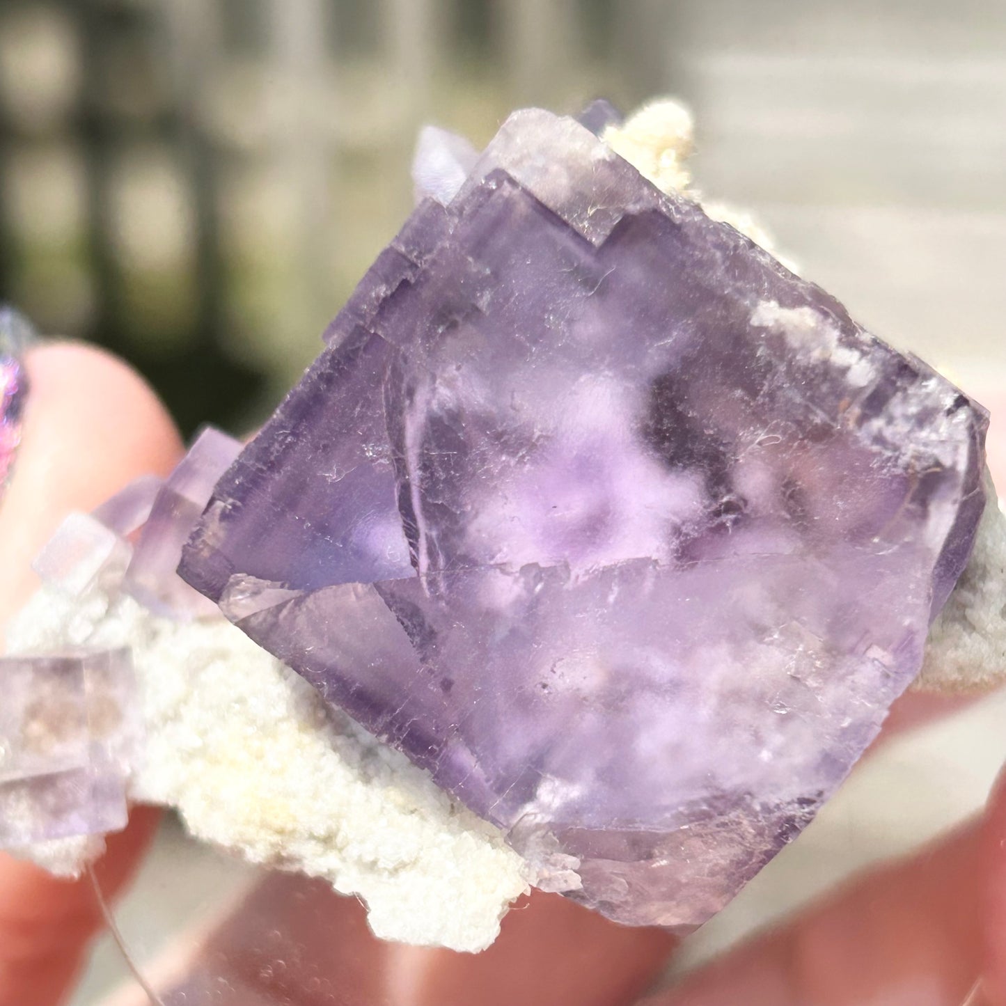 Blue-Purple Step Fluorite Large from Berbes Quarry, Berbes Mining Area, Ribadesella, Asturias, Spain 🇪🇸 (Closed Quarry - Mined in 1980s) #2 High Quality