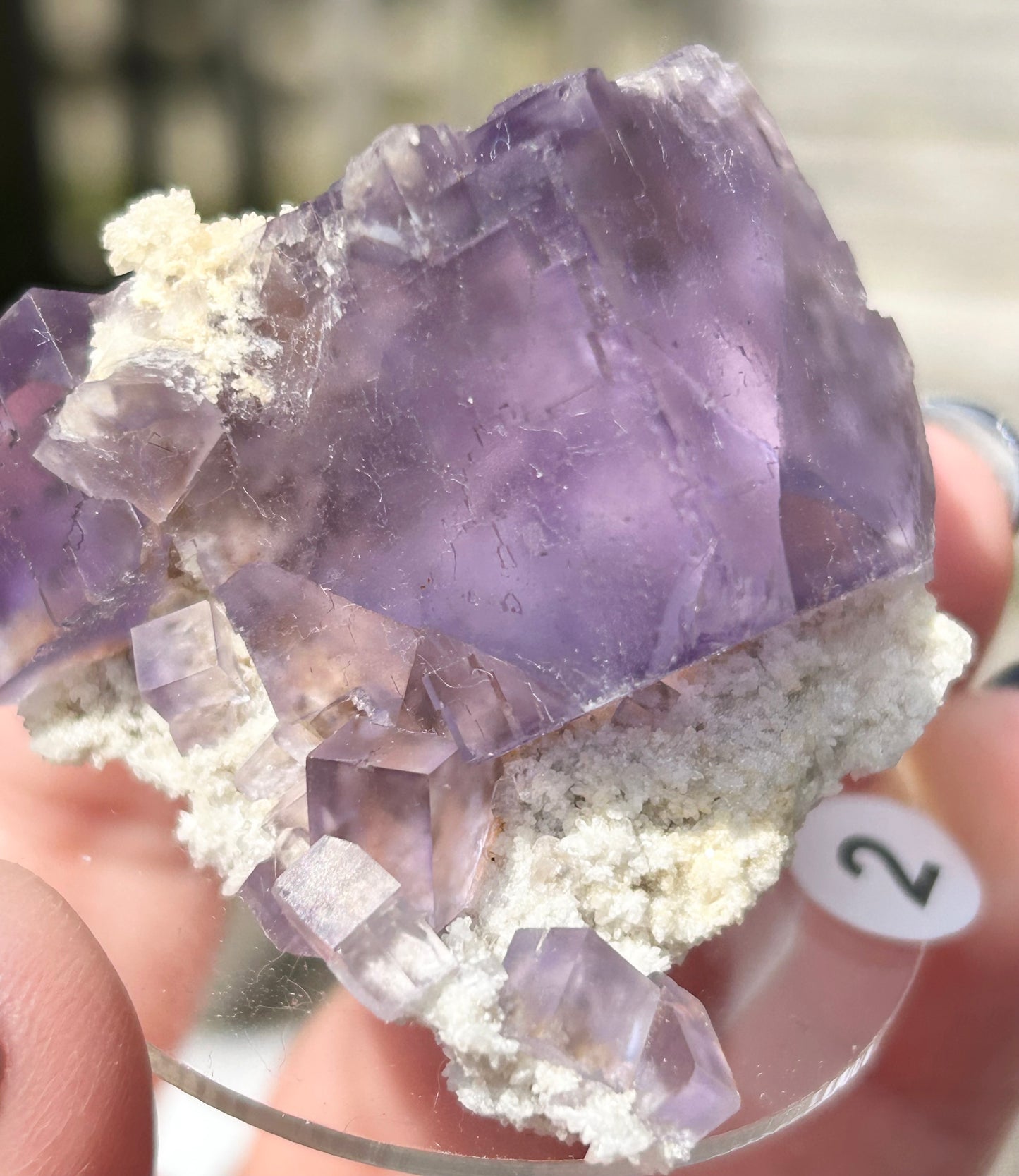 Blue-Purple Step Fluorite Large from Berbes Quarry, Berbes Mining Area, Ribadesella, Asturias, Spain 🇪🇸 (Closed Quarry - Mined in 1980s) #2 High Quality