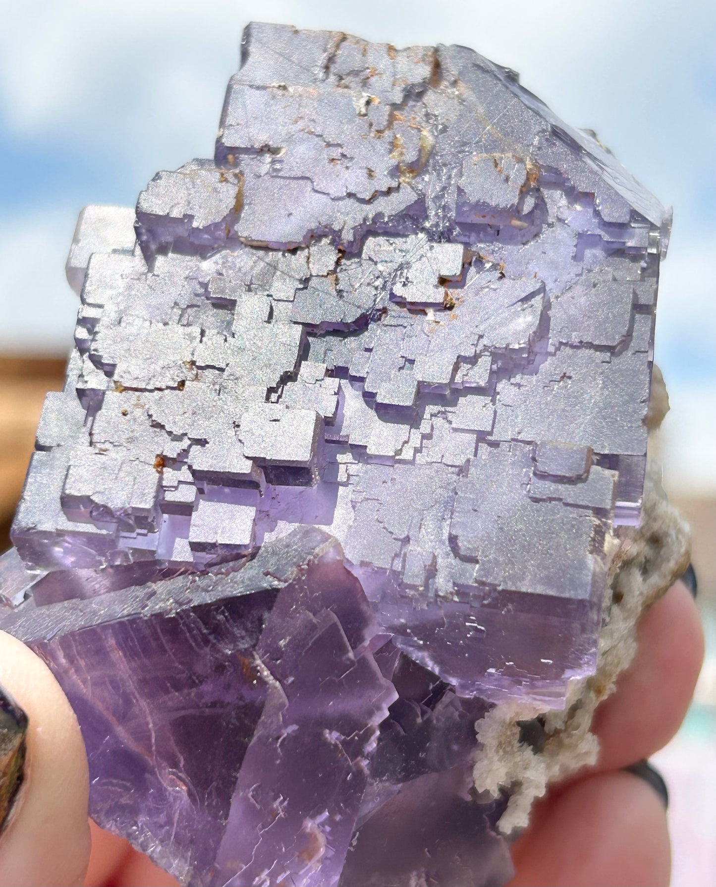 Blue-Purple Step Fluorite XL from Berbes Quarry, Berbes Mining Area, Ribadesella, Asturias, Spain 🇪🇸 (Closed Quarry - Mined in 1980s) #1 High Quality