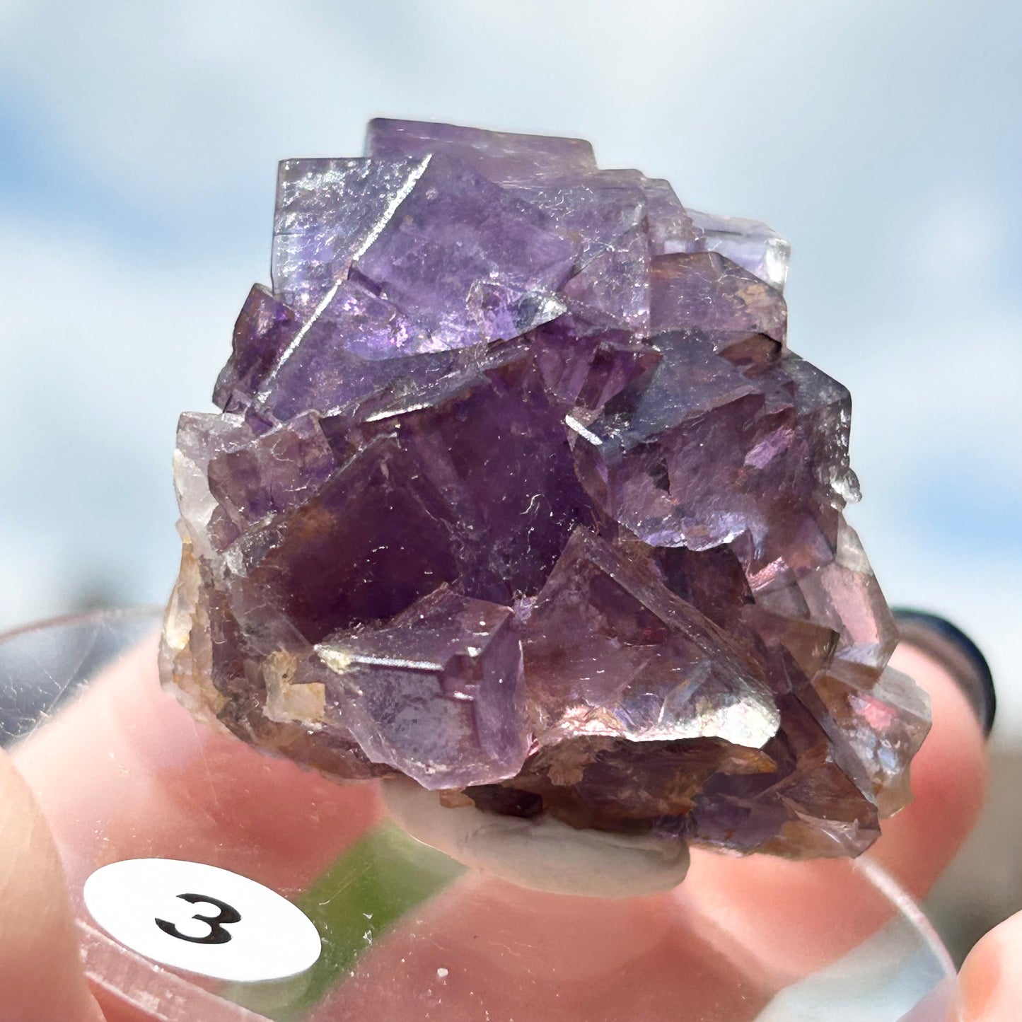 Blue-Purple Step Fluorite from Berbes Quarry, Berbes Mining Area, Ribadesella, Asturias, Spain 🇪🇸 (Closed Quarry - Mined in 1980s) #3 High Quality