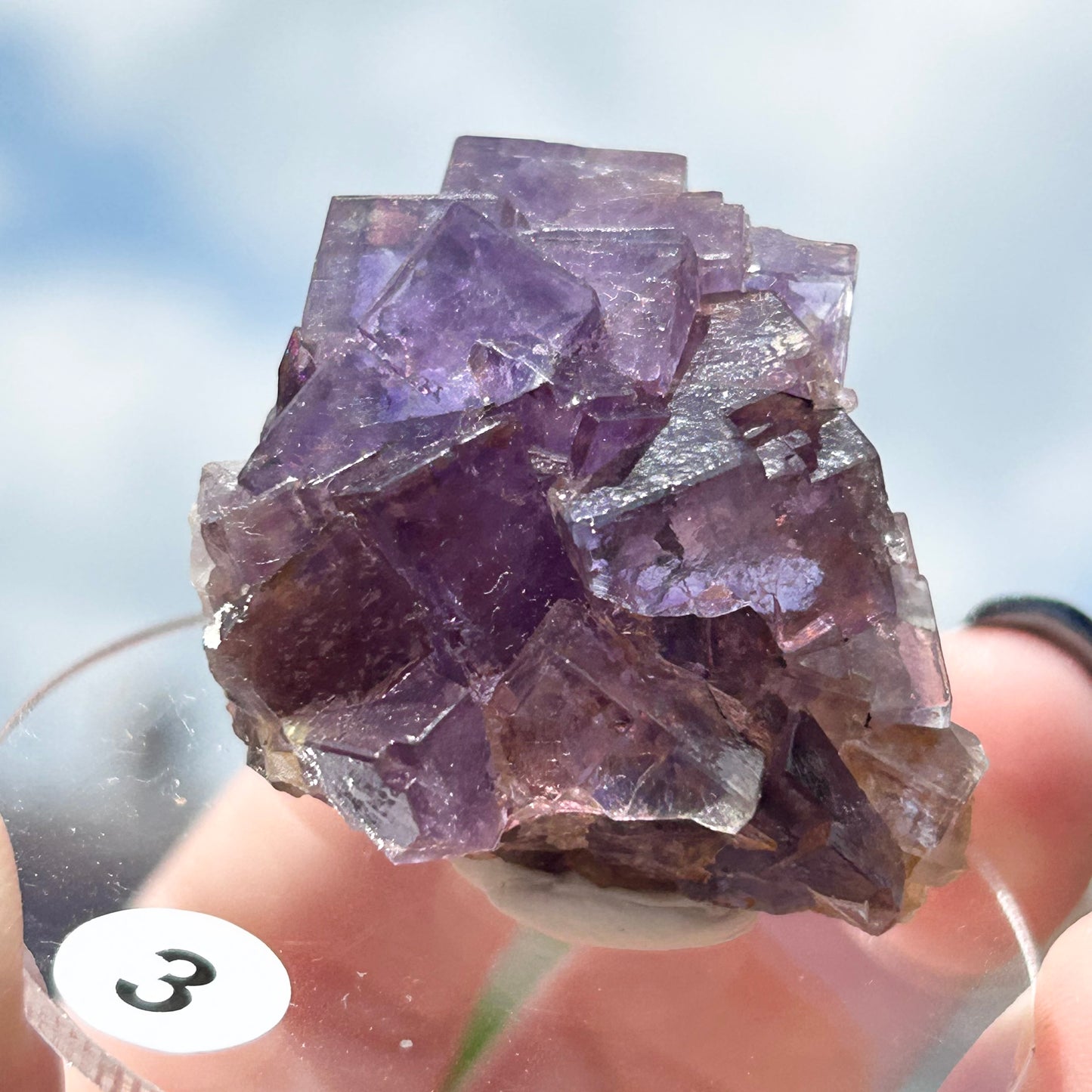 Blue-Purple Step Fluorite from Berbes Quarry, Berbes Mining Area, Ribadesella, Asturias, Spain 🇪🇸 (Closed Quarry - Mined in 1980s) #3 High Quality