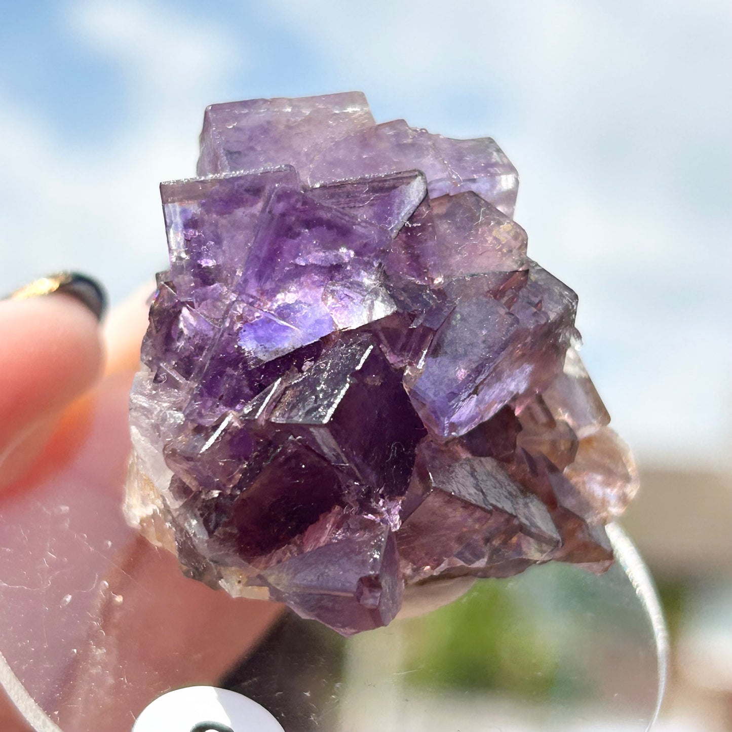 Blue-Purple Step Fluorite from Berbes Quarry, Berbes Mining Area, Ribadesella, Asturias, Spain 🇪🇸 (Closed Quarry - Mined in 1980s) #3 High Quality