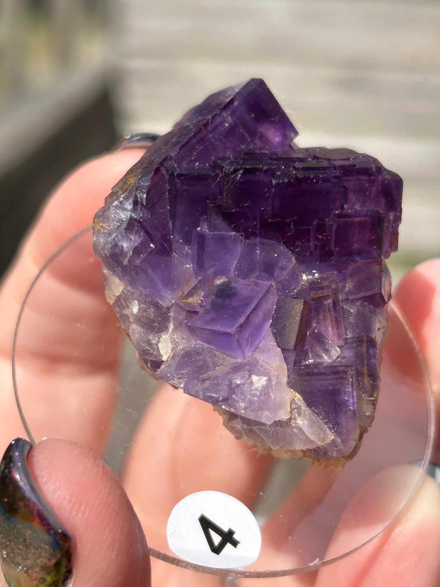 Blue-Purple Step Fluorite from Berbes Quarry, Berbes Mining Area, Ribadesella, Asturias, Spain 🇪🇸 (Closed Quarry - Mined in 1980s) #4 High Quality