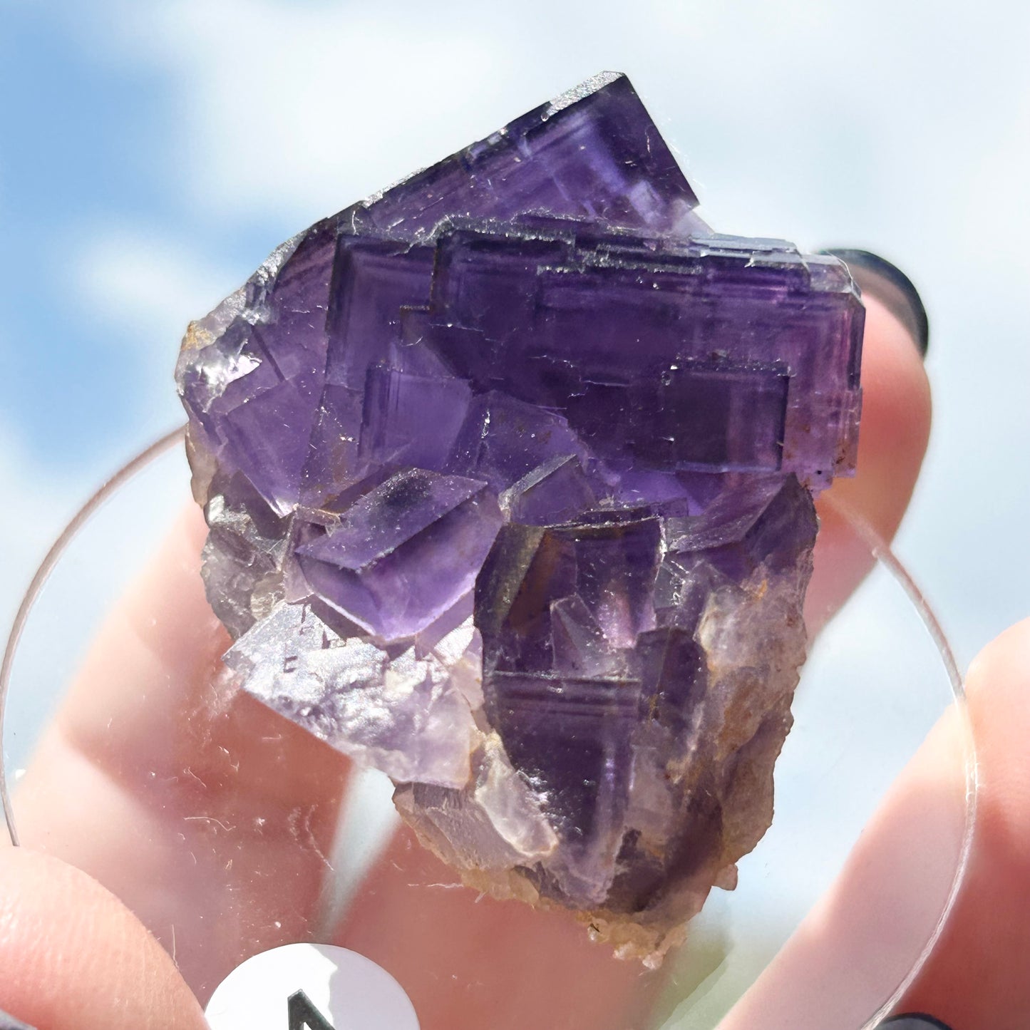 Blue-Purple Step Fluorite from Berbes Quarry, Berbes Mining Area, Ribadesella, Asturias, Spain 🇪🇸 (Closed Quarry - Mined in 1980s) #4 High Quality