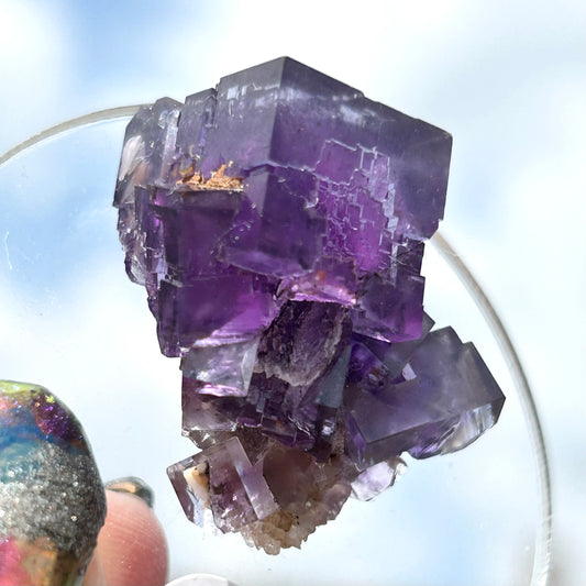 Blue-Purple Step Fluorite from Berbes Quarry, Berbes Mining Area, Ribadesella, Asturias, Spain ๐ช๐ธ (Closed Quarry - Mined in 1980s) #6 High Quality
