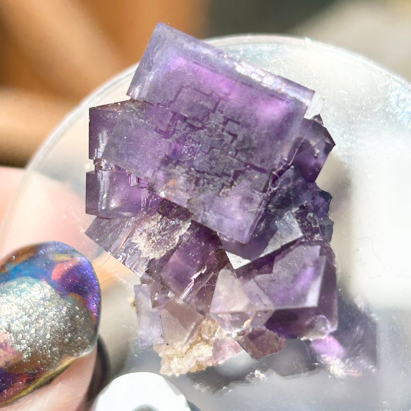 Blue-Purple Step Fluorite from Berbes Quarry, Berbes Mining Area, Ribadesella, Asturias, Spain 🇪🇸 (Closed Quarry - Mined in 1980s) #6 High Quality