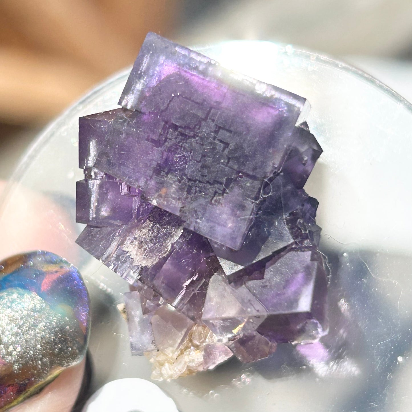 Blue-Purple Step Fluorite from Berbes Quarry, Berbes Mining Area, Ribadesella, Asturias, Spain 🇪🇸 (Closed Quarry - Mined in 1980s) #6 High Quality