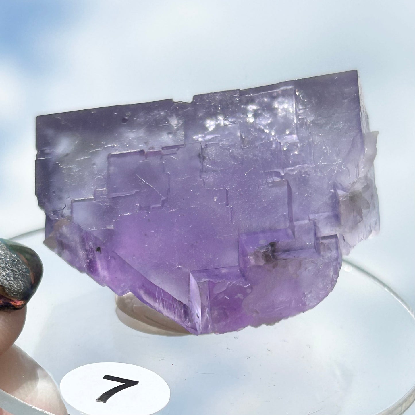 Blue-Purple Step Fluorite from Berbes Quarry, Berbes Mining Area, Ribadesella, Asturias, Spain 🇪🇸 (Closed Quarry - Mined in 1980s) #7 High Quality