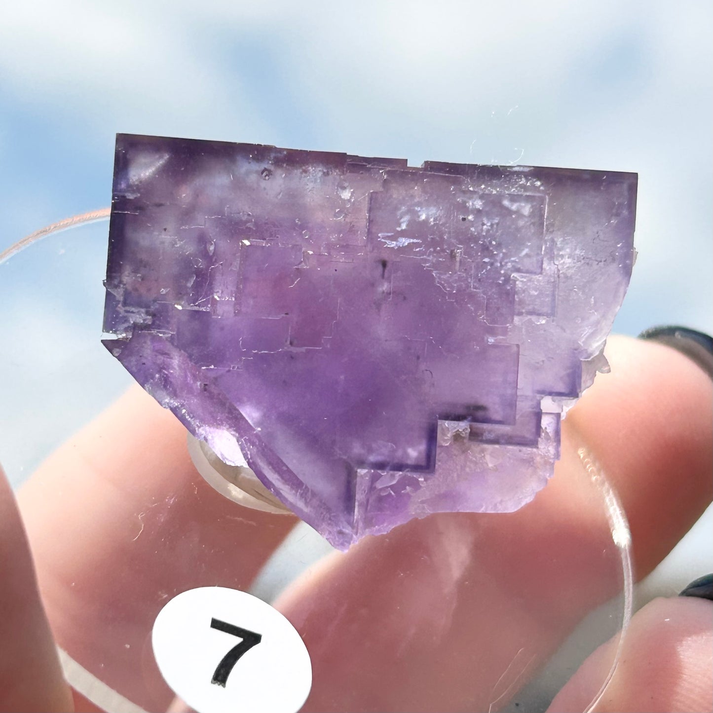 Blue-Purple Step Fluorite from Berbes Quarry, Berbes Mining Area, Ribadesella, Asturias, Spain 🇪🇸 (Closed Quarry - Mined in 1980s) #7 High Quality