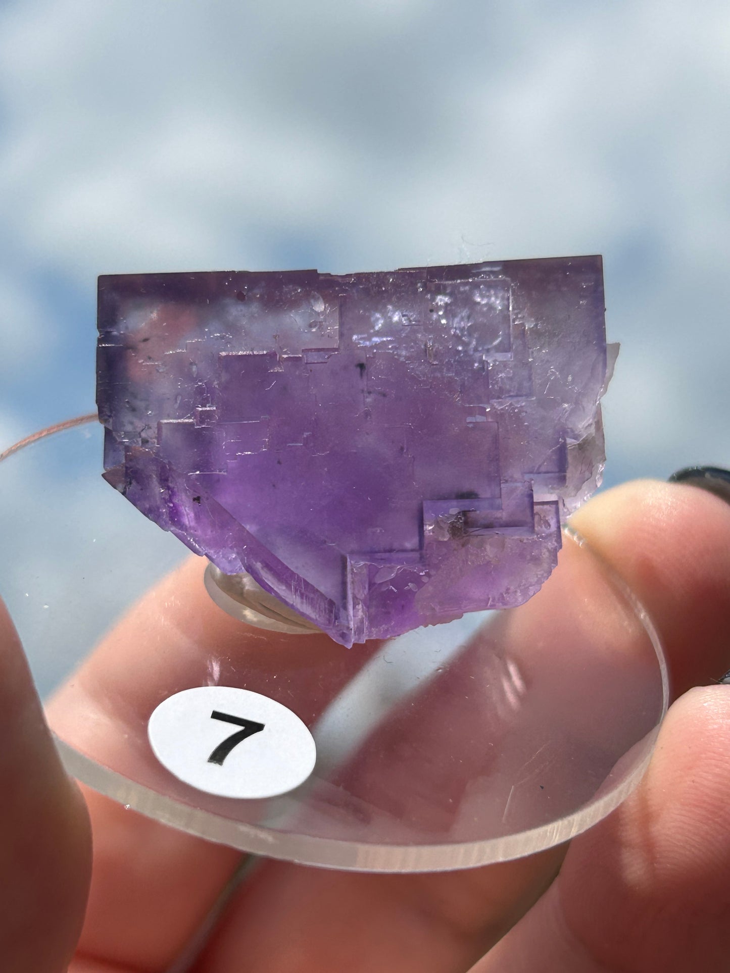 Blue-Purple Step Fluorite from Berbes Quarry, Berbes Mining Area, Ribadesella, Asturias, Spain 🇪🇸 (Closed Quarry - Mined in 1980s) #7 High Quality