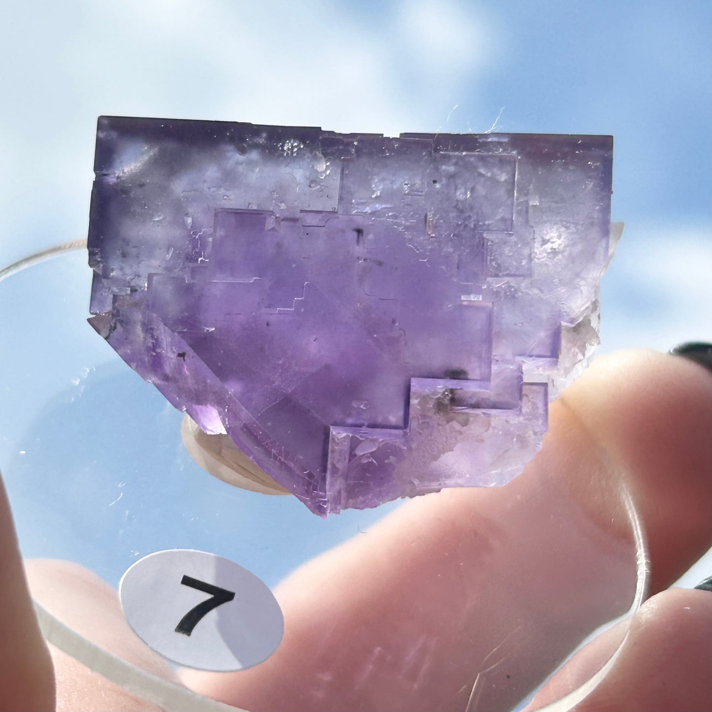 Blue-Purple Step Fluorite from Berbes Quarry, Berbes Mining Area, Ribadesella, Asturias, Spain 🇪🇸 (Closed Quarry - Mined in 1980s) #7 High Quality