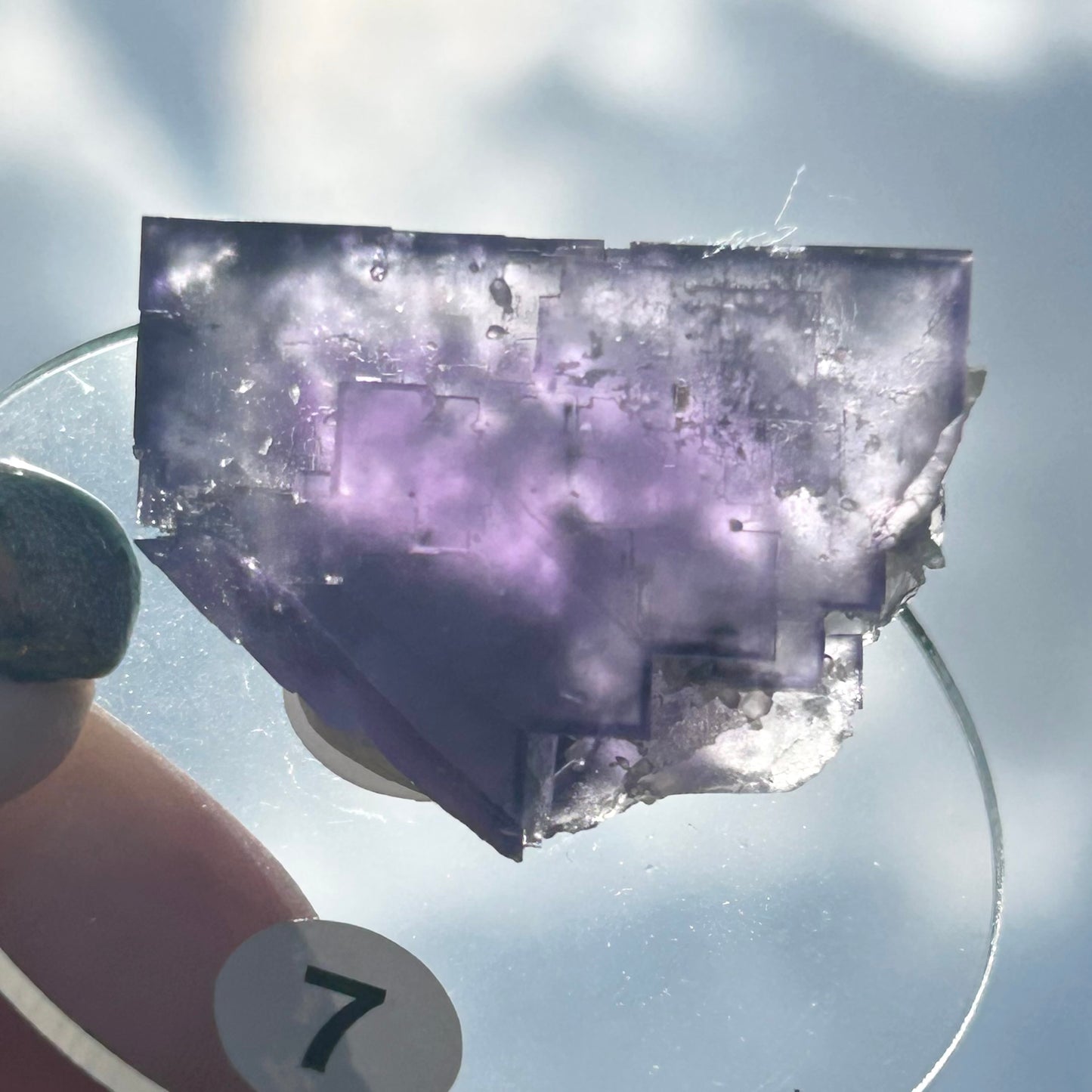 Blue-Purple Step Fluorite from Berbes Quarry, Berbes Mining Area, Ribadesella, Asturias, Spain 🇪🇸 (Closed Quarry - Mined in 1980s) #7 High Quality