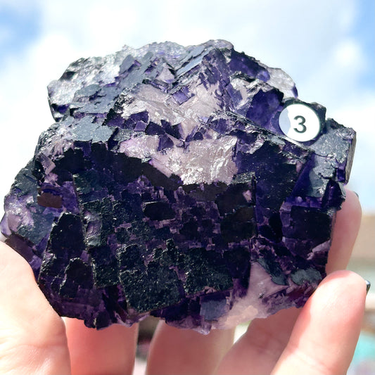 Purple & White Step Fluorite XL from La Encantada Mine, Muzquiz, Coahuila, México 🇲🇽 #3