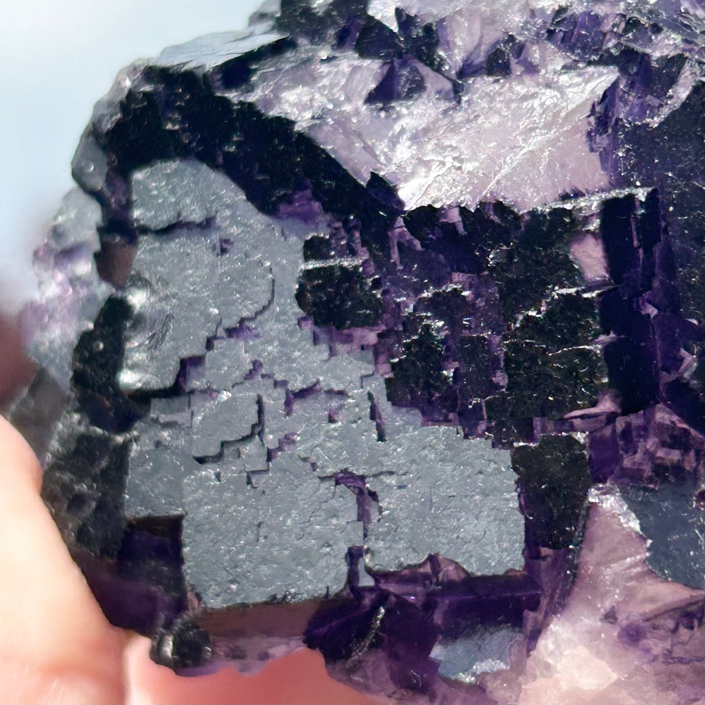 Purple & White Step Fluorite XL from La Encantada Mine, Muzquiz, Coahuila, México 🇲🇽 #3