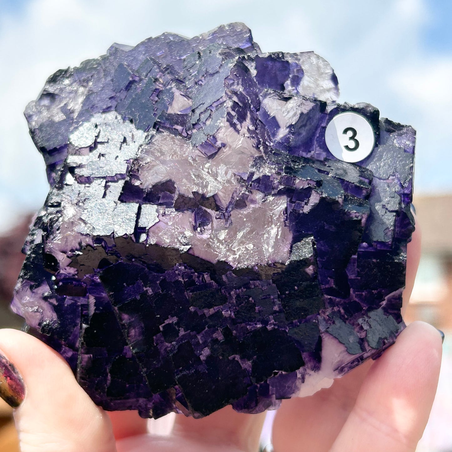 Purple & White Step Fluorite XL from La Encantada Mine, Muzquiz, Coahuila, México 🇲🇽 #3