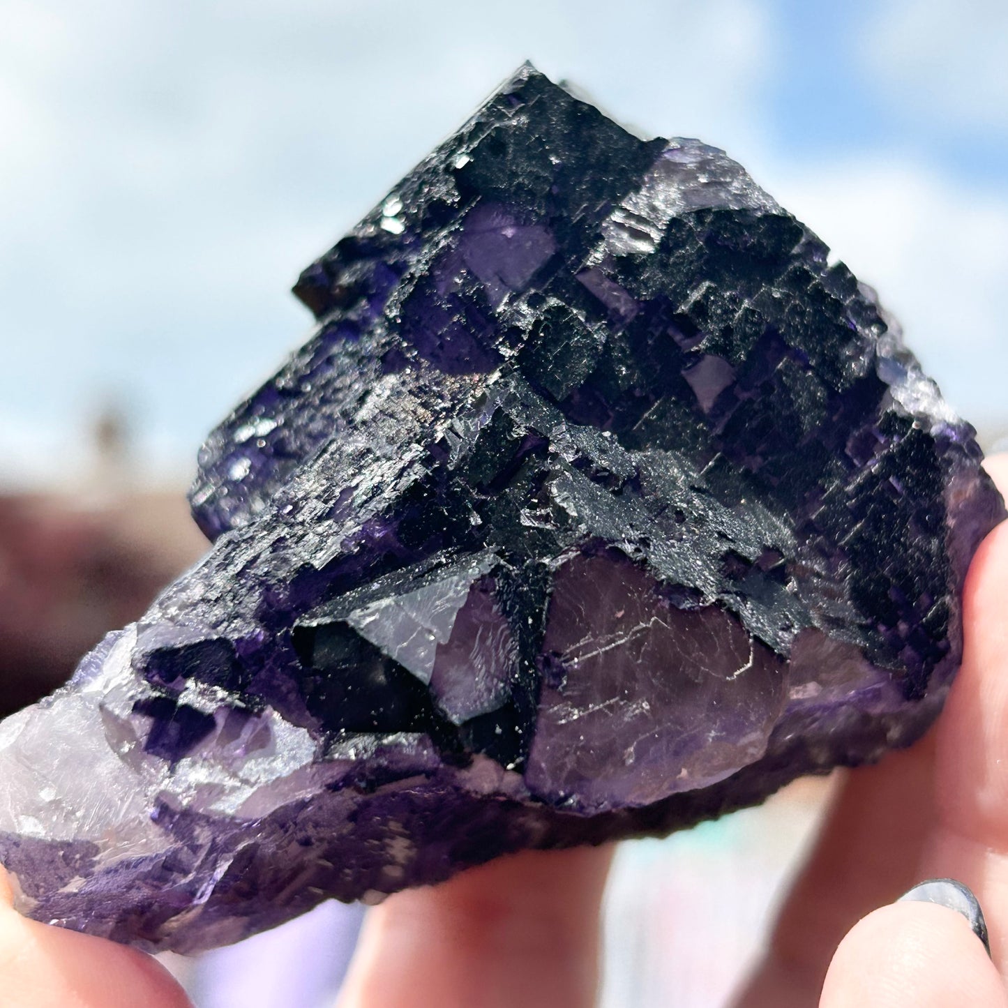 Purple & White Step Fluorite XL from La Encantada Mine, Muzquiz, Coahuila, México 🇲🇽 #1