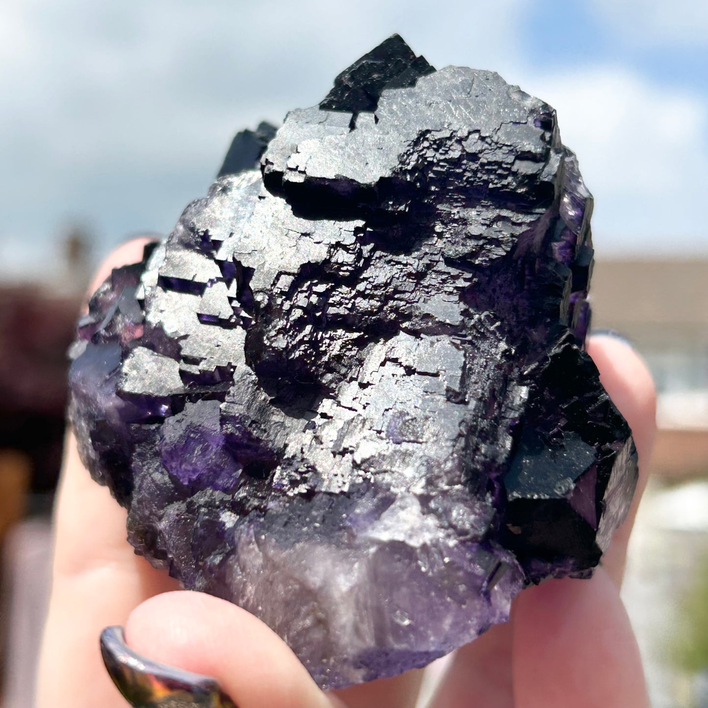 Purple & White Step Fluorite XL from La Encantada Mine, Muzquiz, Coahuila, México 🇲🇽 #1