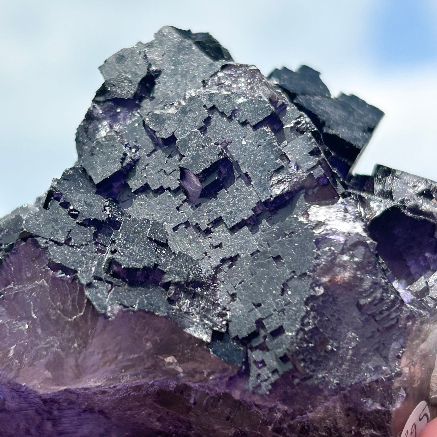 Purple & White Step Fluorite XL from La Encantada Mine, Muzquiz, Coahuila, México 🇲🇽 #1