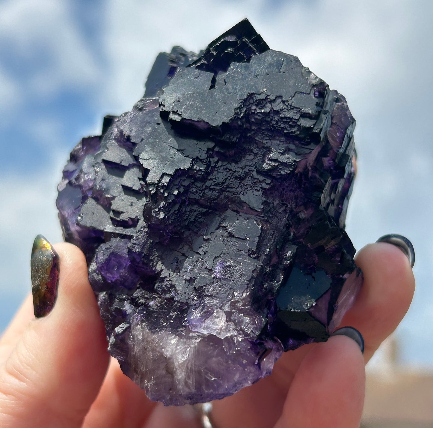 Purple & White Step Fluorite XL from La Encantada Mine, Muzquiz, Coahuila, México 🇲🇽 #1