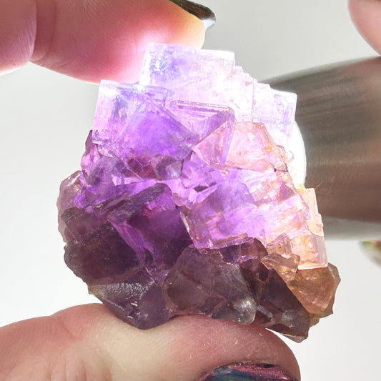 Blue-Purple Step Fluorite from Berbes Quarry, Berbes Mining Area, Ribadesella, Asturias, Spain 🇪🇸 (Closed Quarry - Mined in 1980s) #3 High Quality