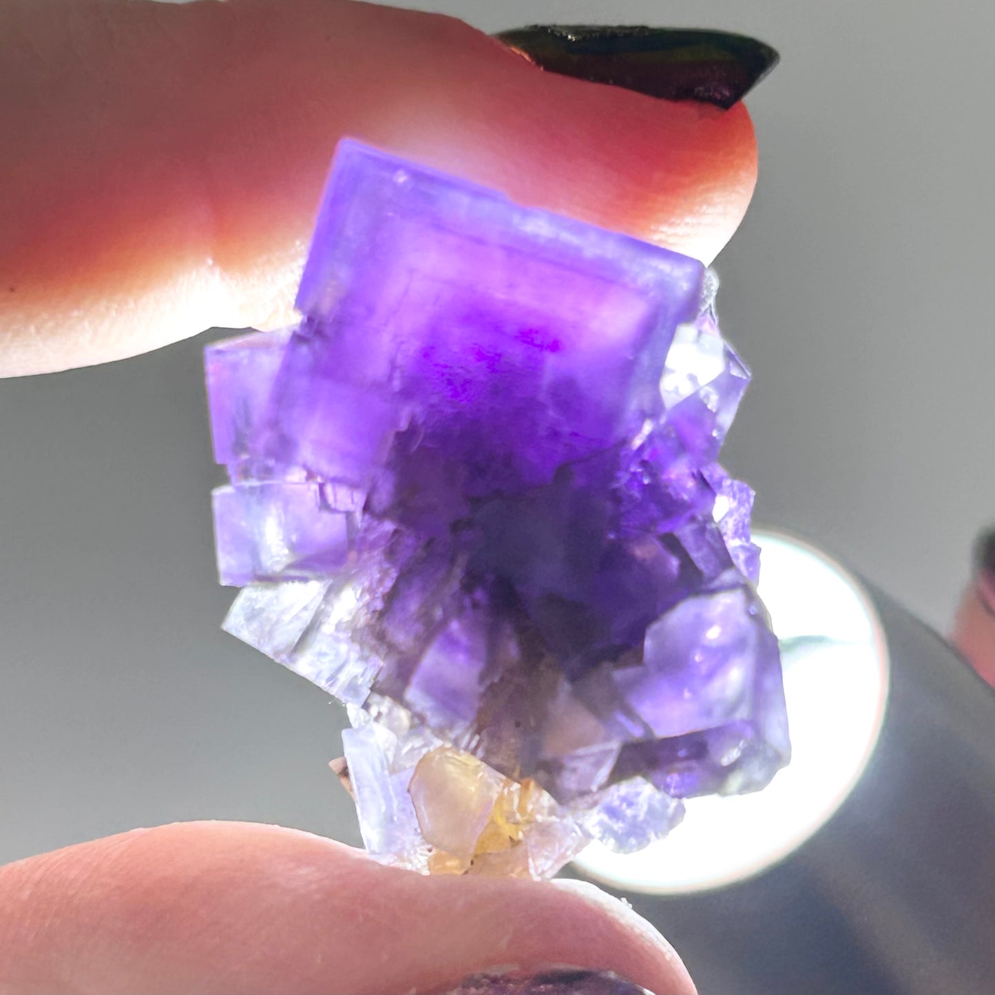 Blue-Purple Step Fluorite from Berbes Quarry, Berbes Mining Area, Ribadesella, Asturias, Spain 🇪🇸 (Closed Quarry - Mined in 1980s) #6 High Quality