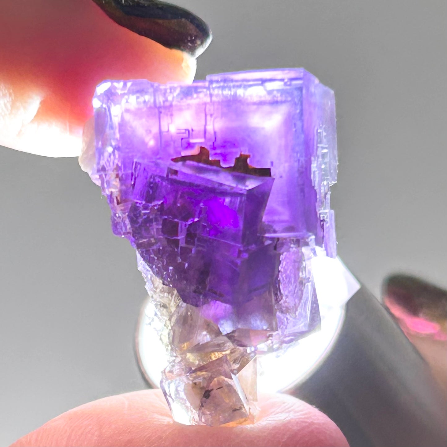 Blue-Purple Step Fluorite from Berbes Quarry, Berbes Mining Area, Ribadesella, Asturias, Spain 🇪🇸 (Closed Quarry - Mined in 1980s) #6 High Quality
