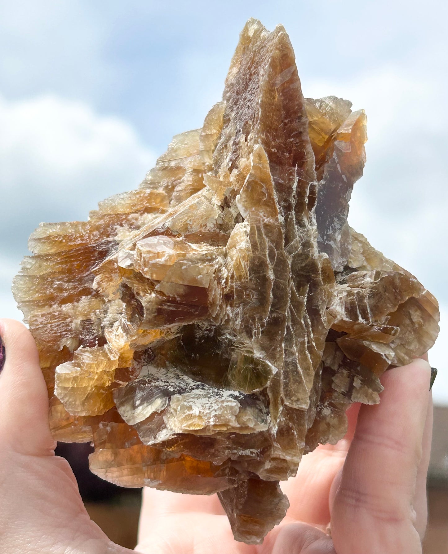 Turkish 🇹🇷 Dessert Rose Gypsum Selenite large from Kirka Mine, Eskisehir Province, Turkey 🇹🇷