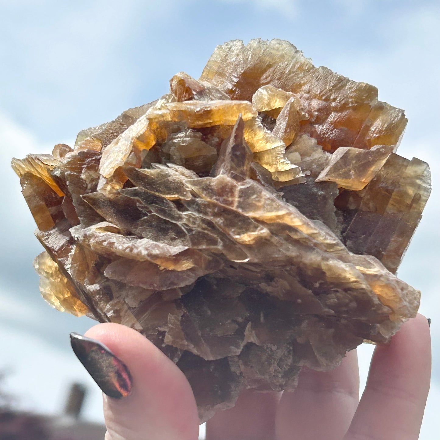 Turkish 🇹🇷 Dessert Rose Gypsum Selenite large from Kirka Mine, Eskisehir Province, Turkey 🇹🇷