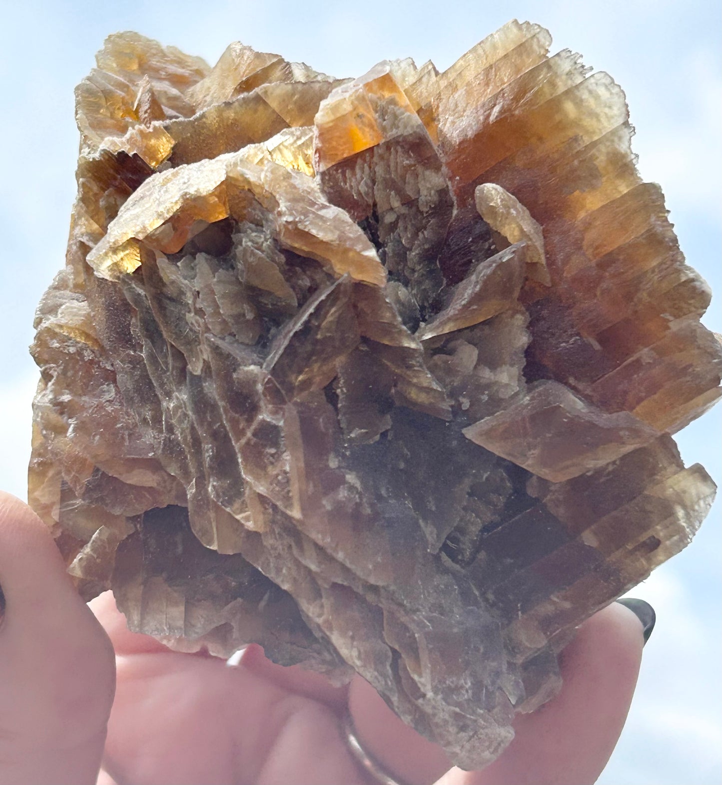 Turkish 🇹🇷 Dessert Rose Gypsum Selenite large from Kirka Mine, Eskisehir Province, Turkey 🇹🇷