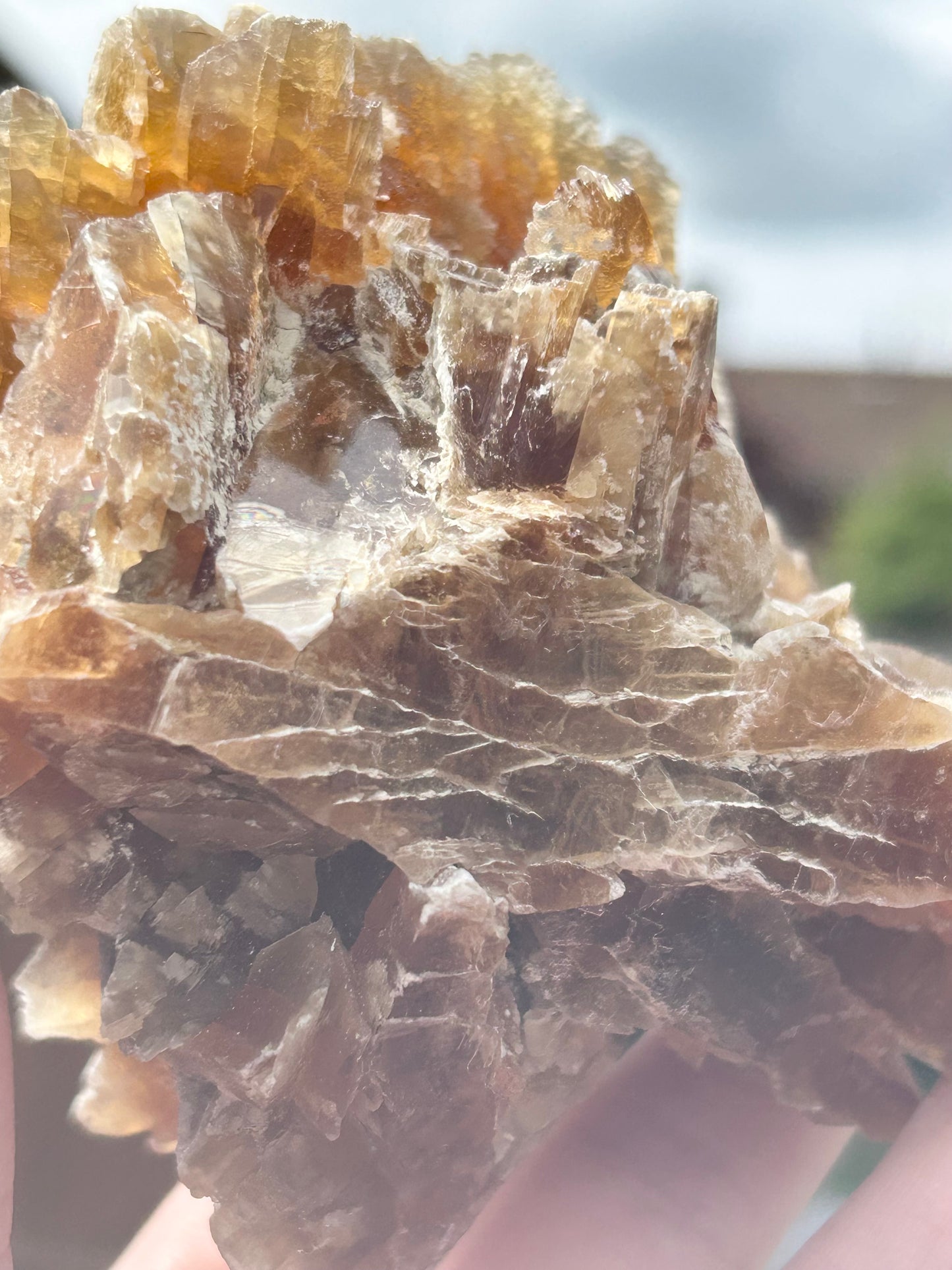 Turkish 🇹🇷 Dessert Rose Gypsum Selenite large from Kirka Mine, Eskisehir Province, Turkey 🇹🇷