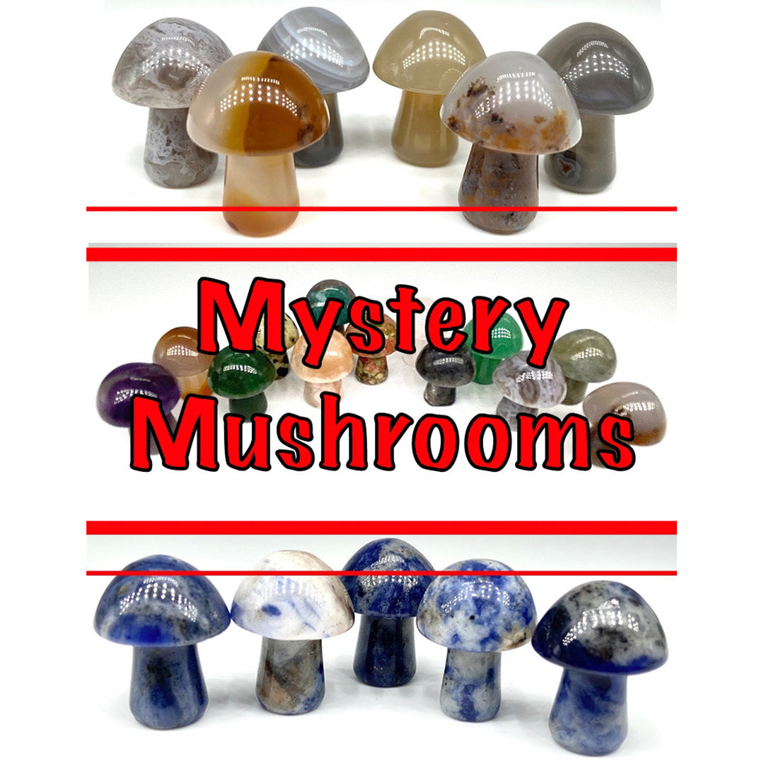 π Mystery Crystal Mushroom π
