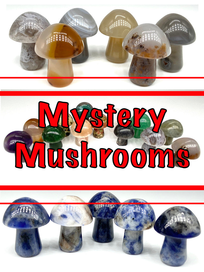 π Mystery Crystal Mushroom π