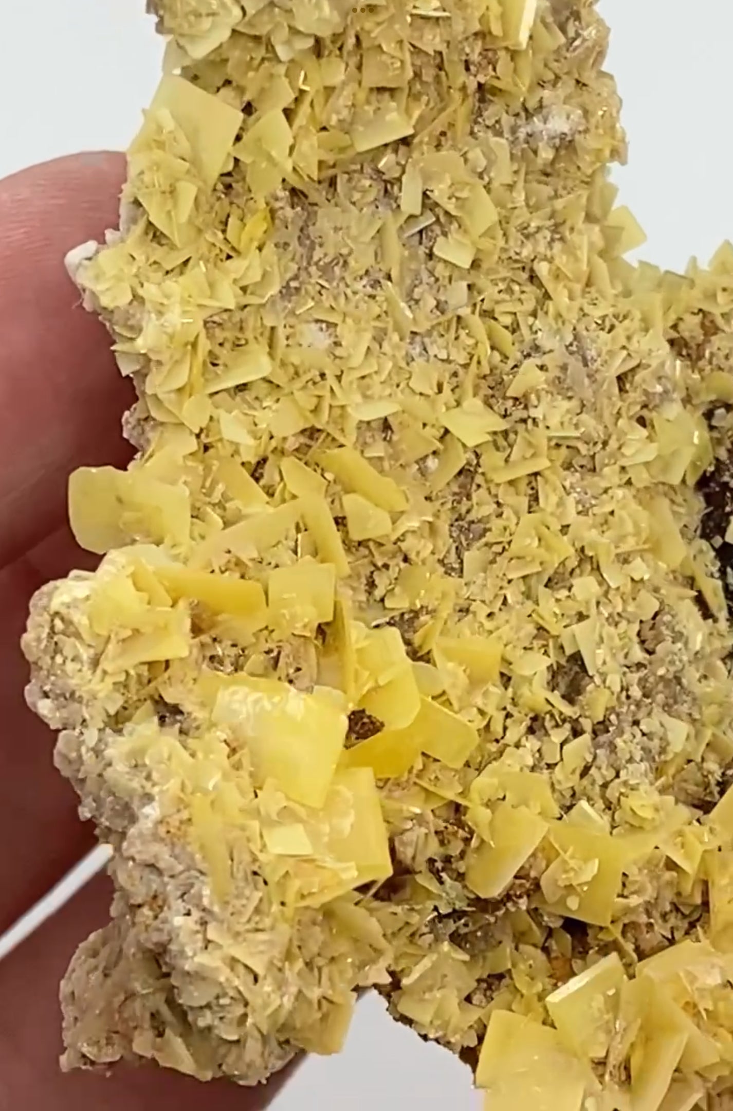 Moroccan Yellow Wulfenite Small Specimen In Display Box Number 5 🇲🇦