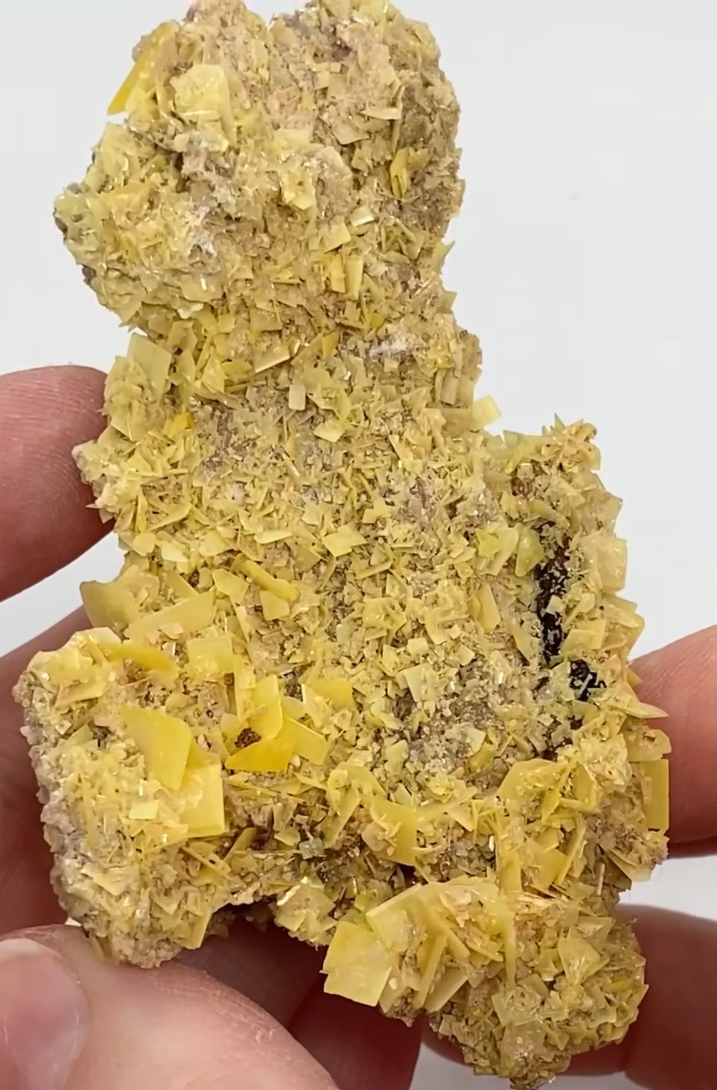 Moroccan Yellow Wulfenite Small Specimen In Display Box Number 5 🇲🇦