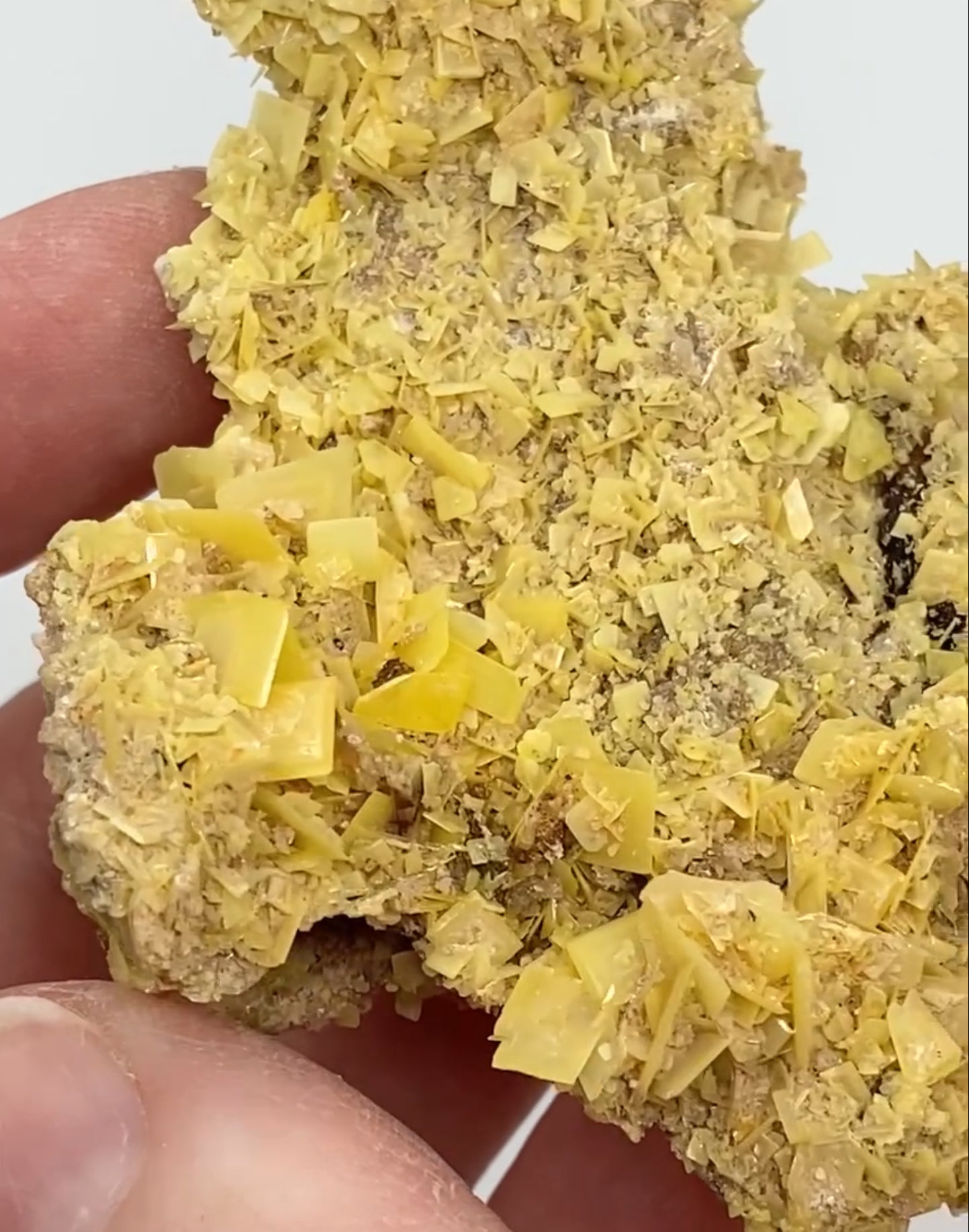 Moroccan Yellow Wulfenite Small Specimen In Display Box Number 5 🇲🇦
