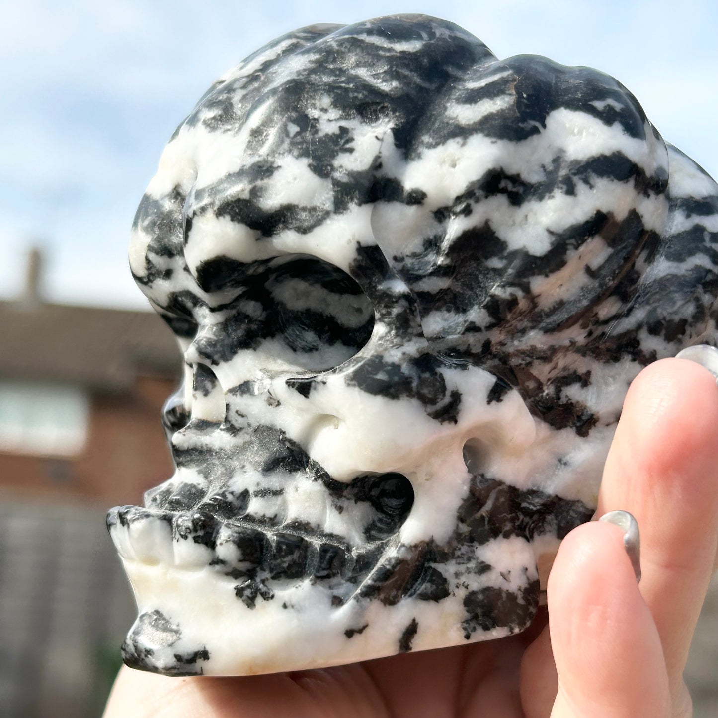 Zebra 🦓 Jasper Extra Large Pumpkin 🎃 Skull Carving 0.916 kg