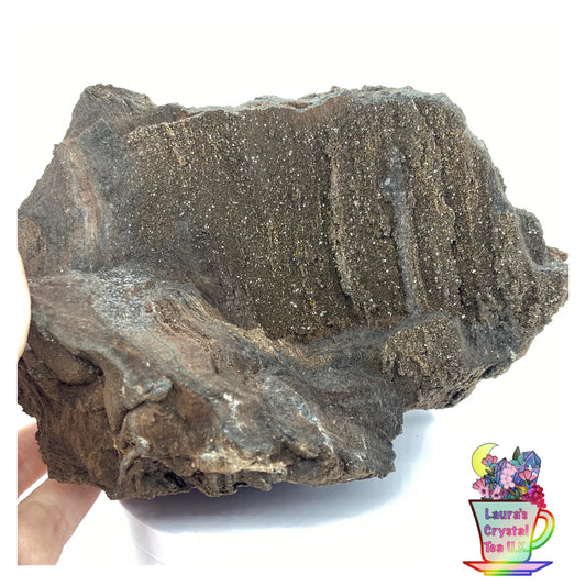 XXL #1 Petrified Wood With Quartz Specimen From Zwenkau, Leipzig, Saxony, Germany ๐ฉ๐ช 1.13 kg