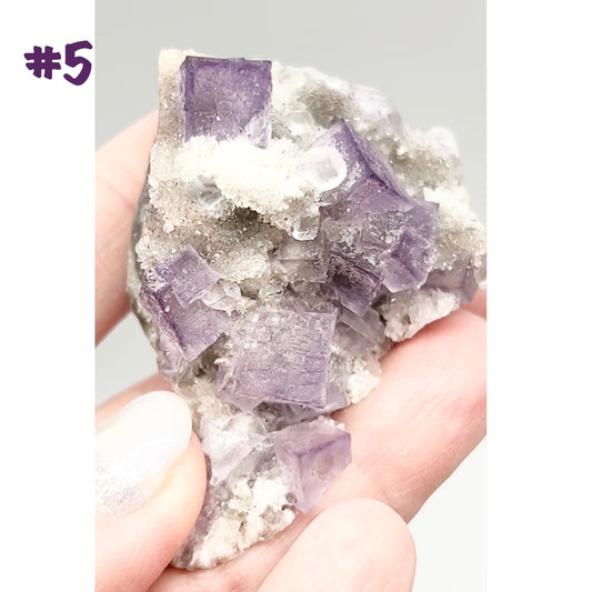 El Filo Fluorite #5 White-Purple Fluorite from El Filo Mine, Mapaimi, Durango, México 🇲🇽