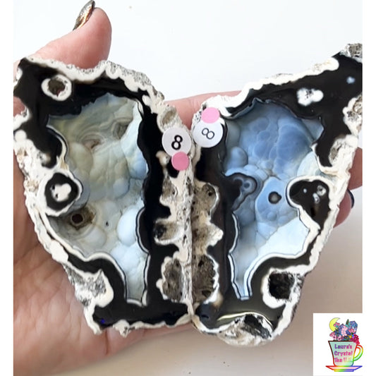 Fossilised Agatised Coral 🪸 8a Large Pair Limited Edition From Florida, USA 🇺🇸 Green UV
