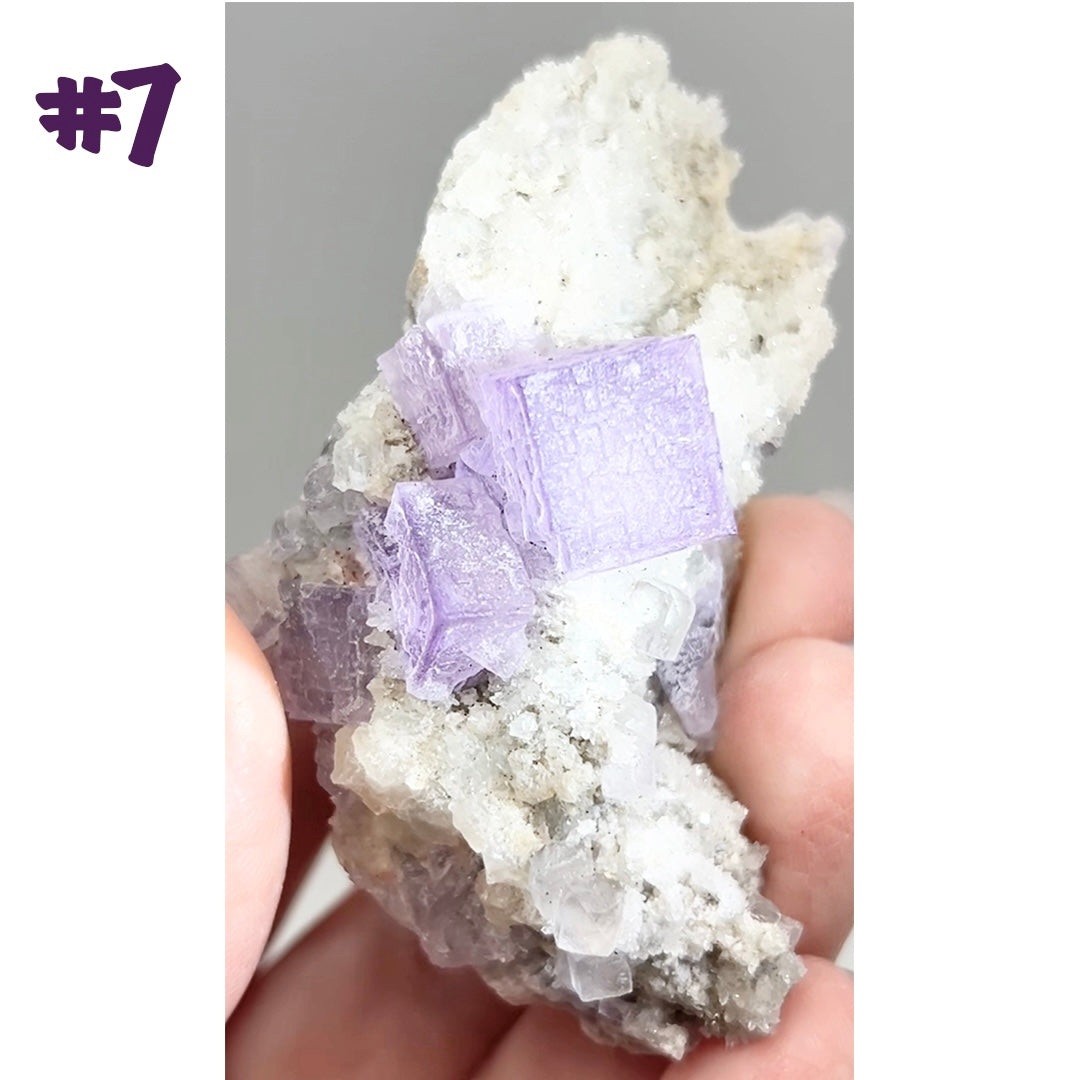 El Filo Fluorite #7 White-Purple Fluorite from El Filo Mine, Mapaimi, Durango, México 🇲🇽