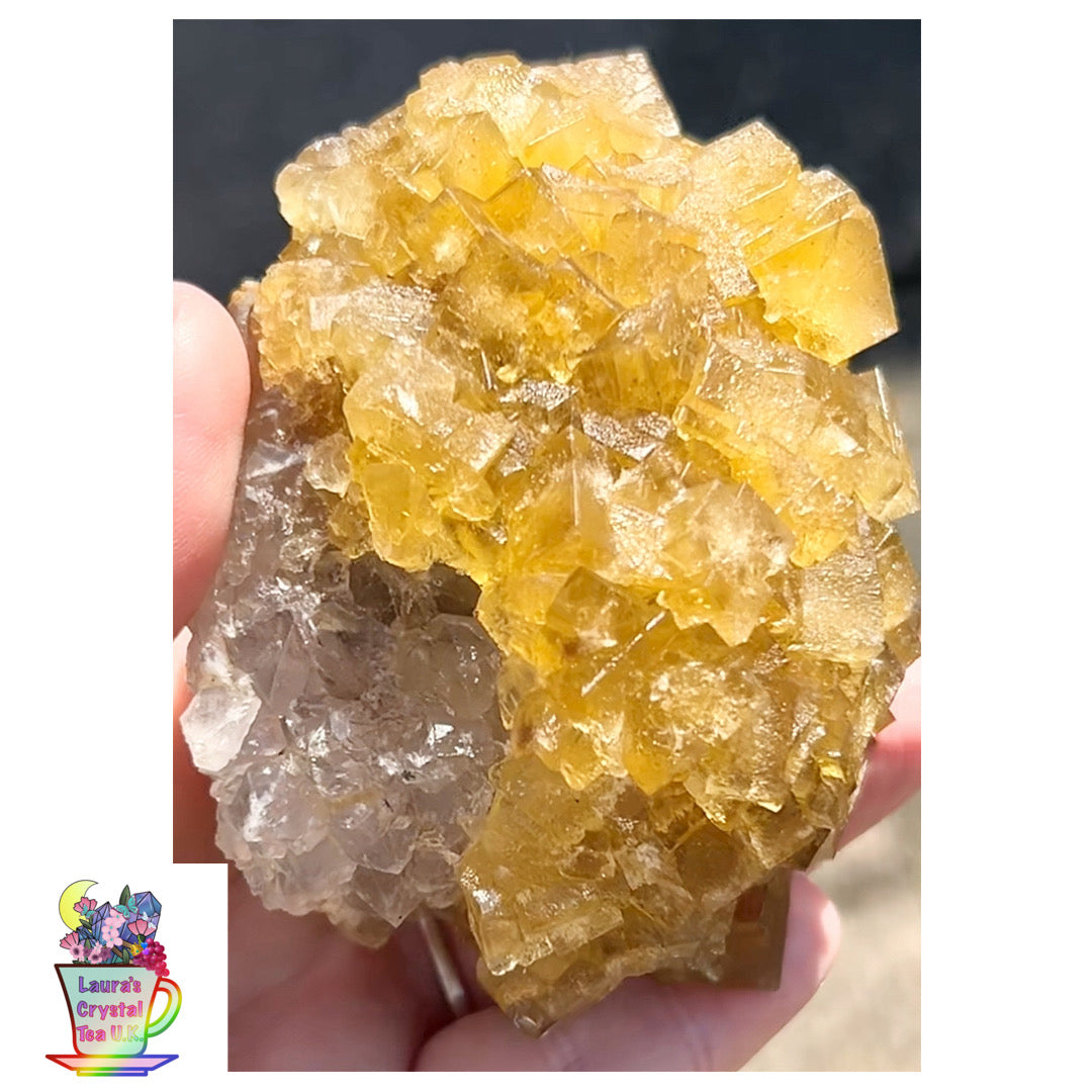 XXL Extremely Rare, One Of A Kind Hilton Golden Yellow Fluorite On Quartz Base From Hilton Mine, Hilton, Scredale, Cumbria, U.K. 🇬🇧 (Closed Mine, Independently Collected In 1990s) Top Quality