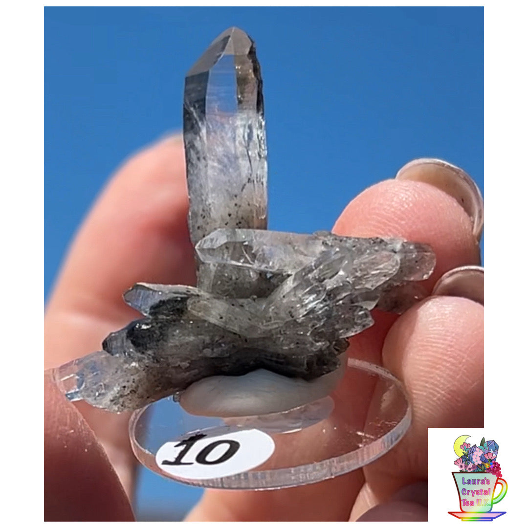 Black Vera Cruz from Piedra Parada, Veracruz, Mexico 🇲🇽 #10 - Small