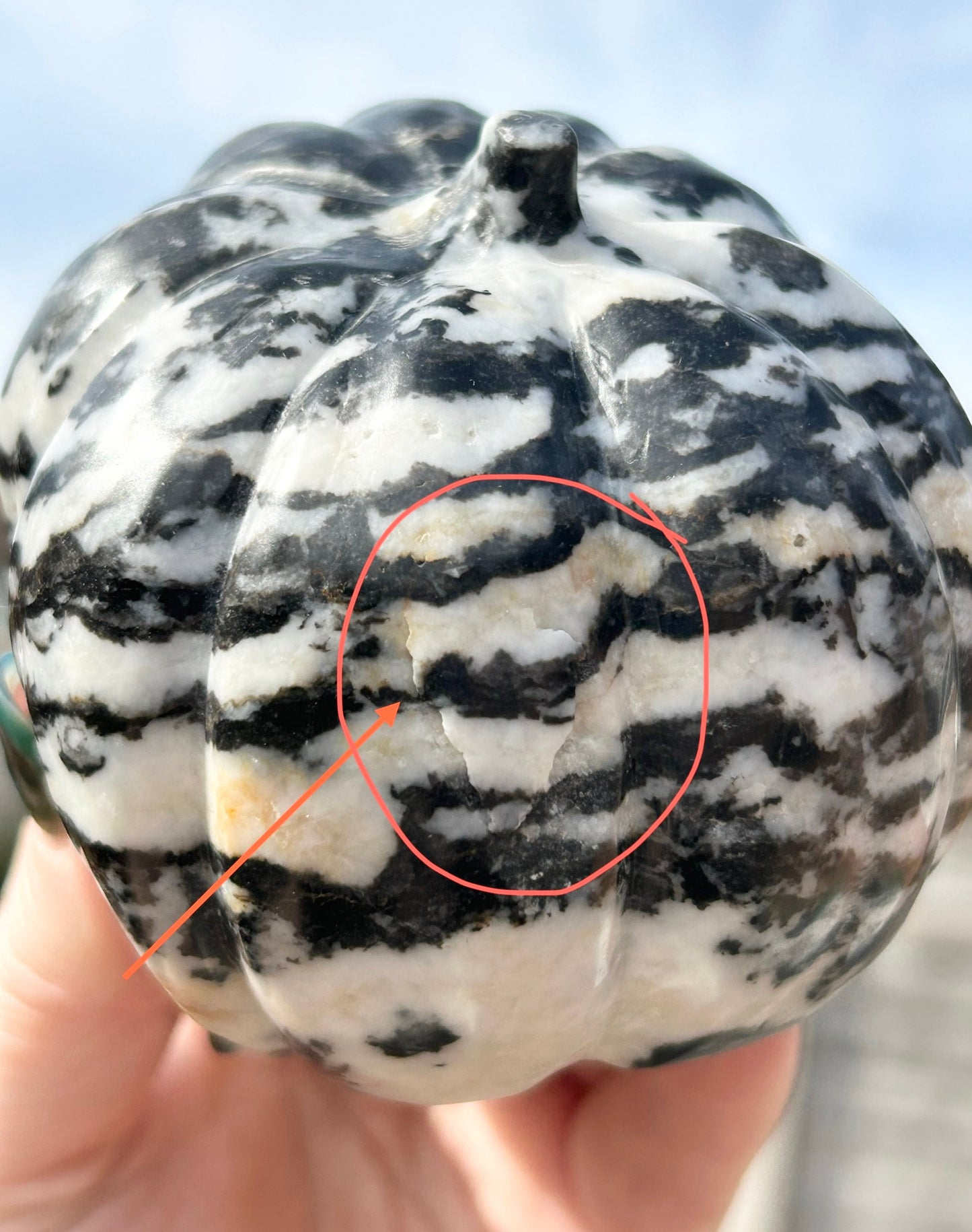 Zebra 🦓 Jasper Extra Large Pumpkin 🎃 Skull Carving 0.916 kg