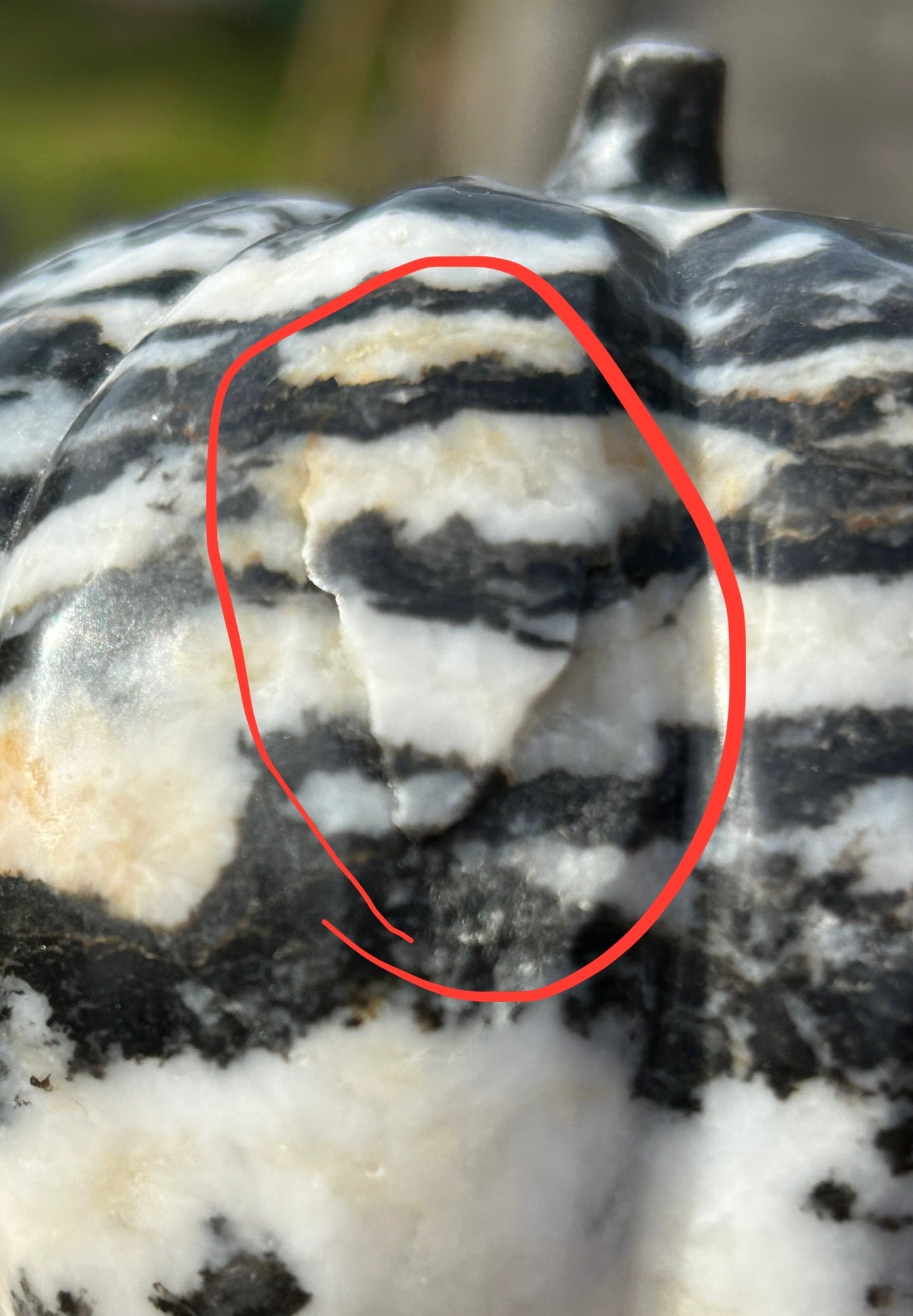 Zebra 🦓 Jasper Extra Large Pumpkin 🎃 Skull Carving 0.916 kg