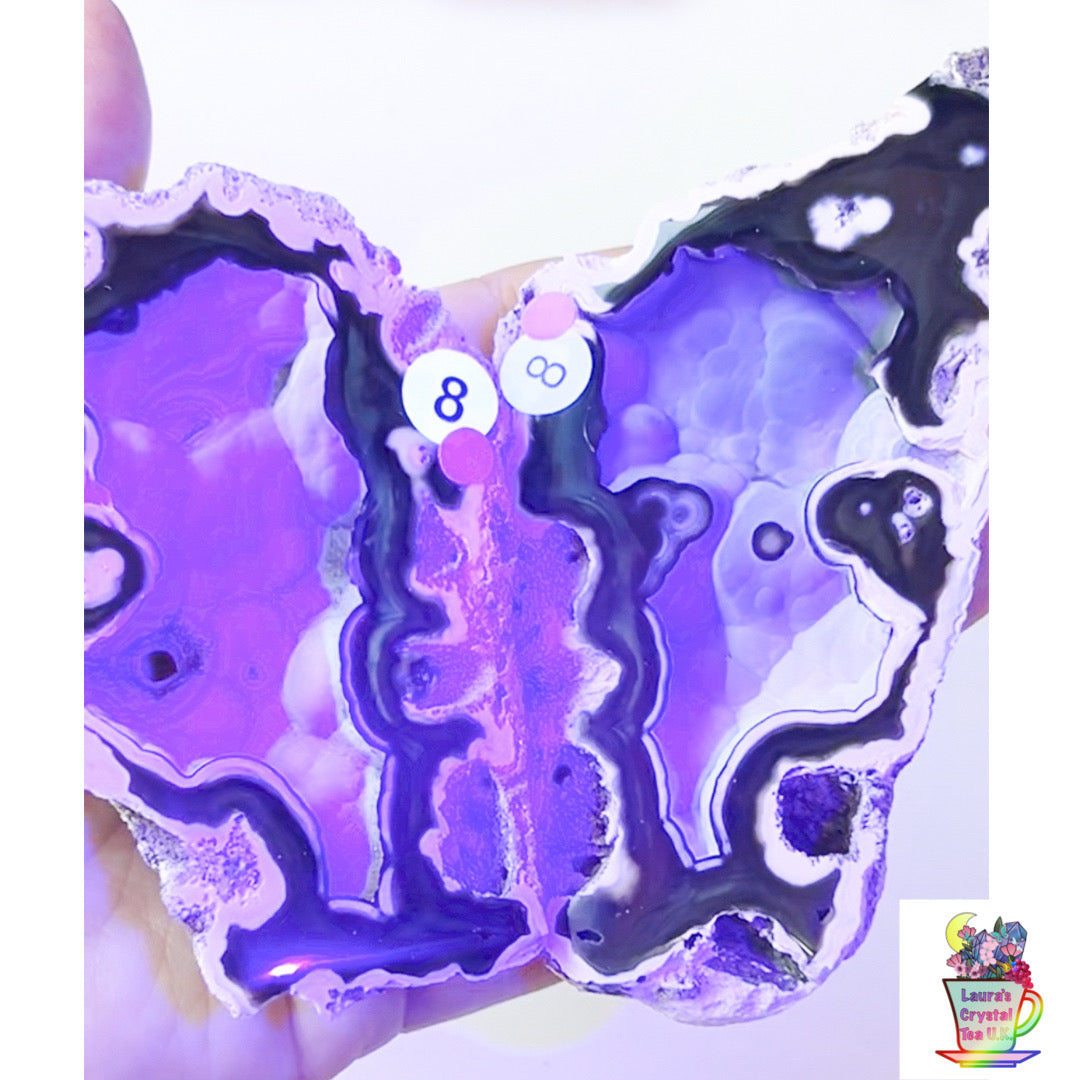 Fossilised Agatised Coral 🪸 8a Large Pair Limited Edition From Florida, USA 🇺🇸 Green UV