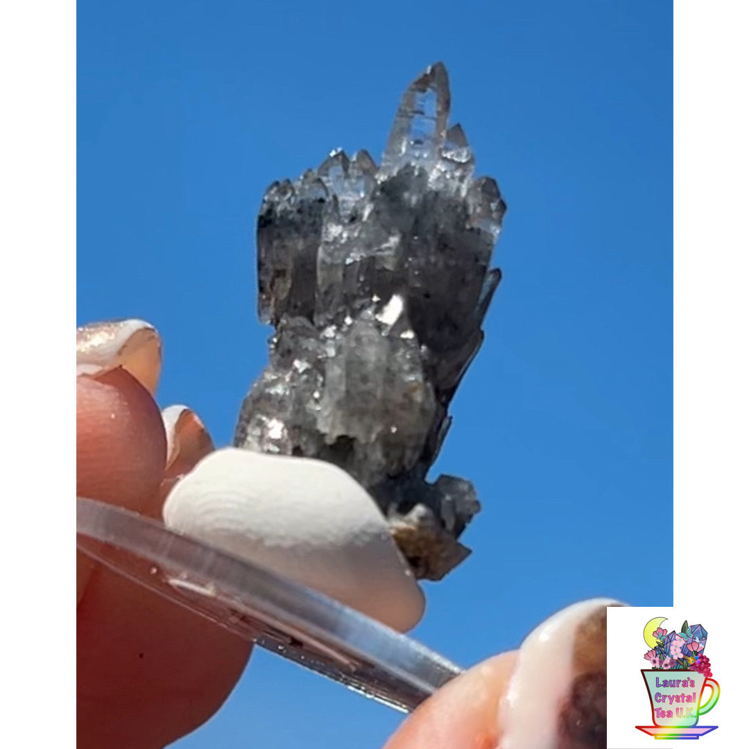 Black Vera Cruz from Piedra Parada, Veracruz, Mexico 🇲🇽 #13 - Small