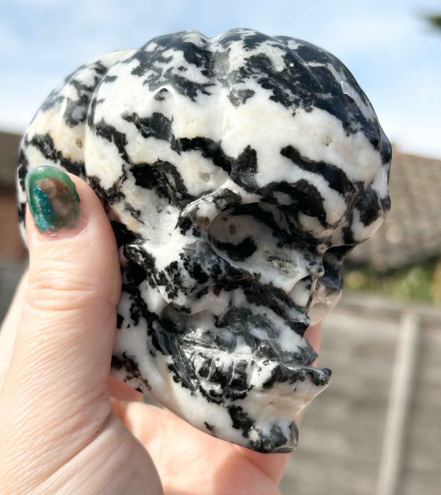 Zebra 🦓 Jasper Extra Large Pumpkin 🎃 Skull Carving 0.916 kg